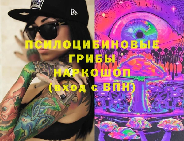 молекула духа Алзамай